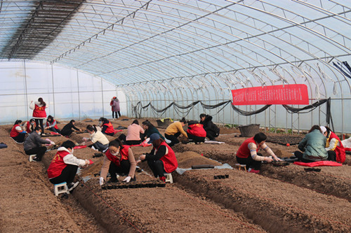 /gb2312/qishiyegonghui/11259.html